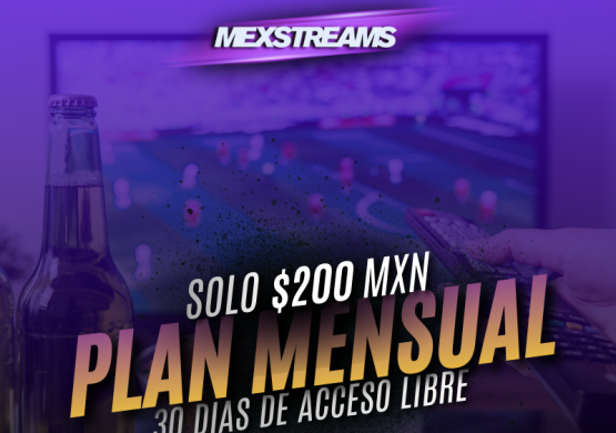 PLAN MENSAL
